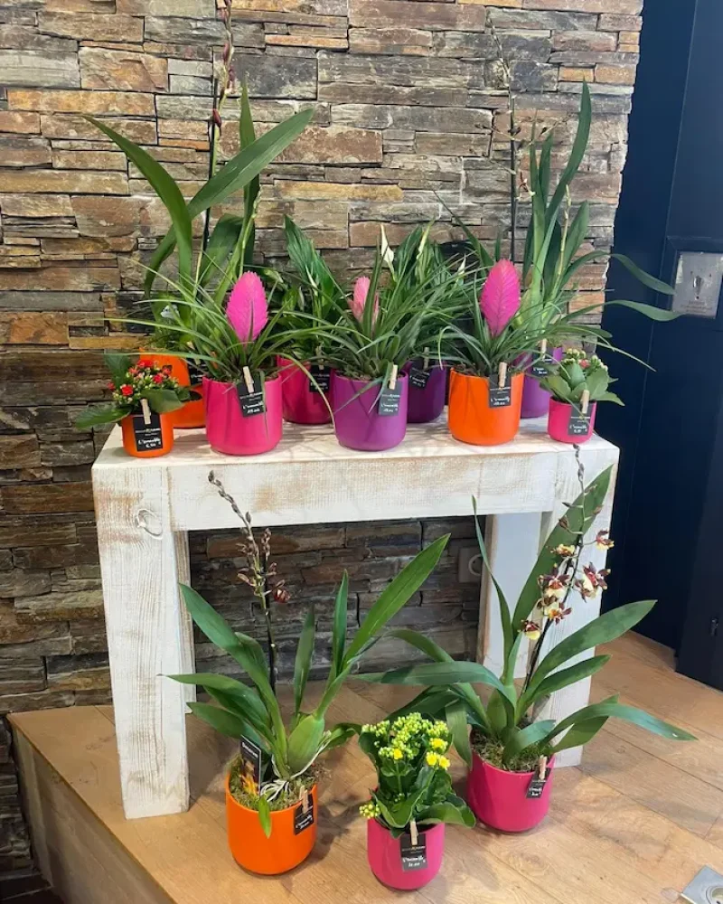 realisation-plantes-ripoche-fleurs-fleuriste-beaupreau-en-mauges (1)