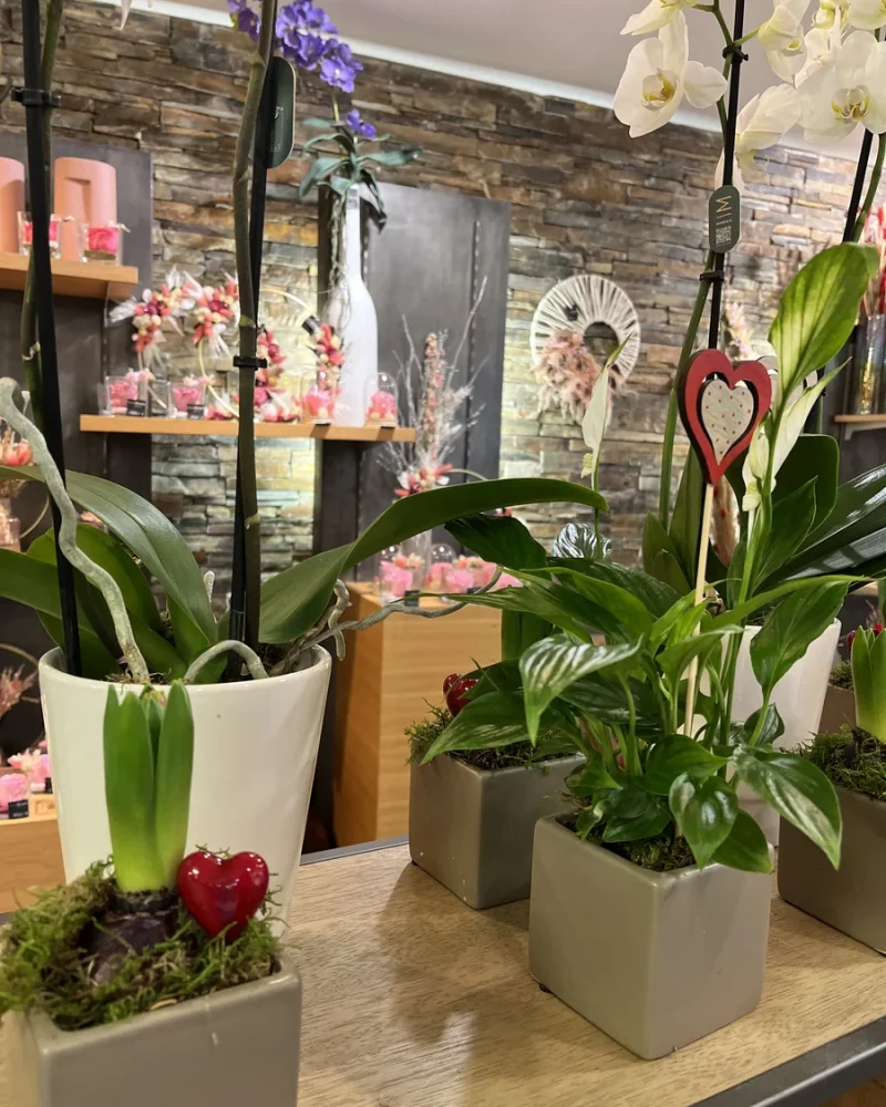 Réalisations, Ripoche Fleurs, fleuriste et décorateur floral à Beaupréau-en-Mauges