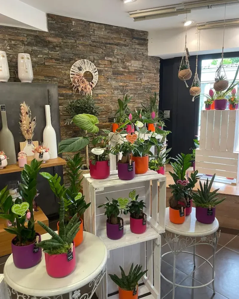 realisation-plantes-ripoche-fleurs-fleuriste-beaupreau-en-mauges (3)