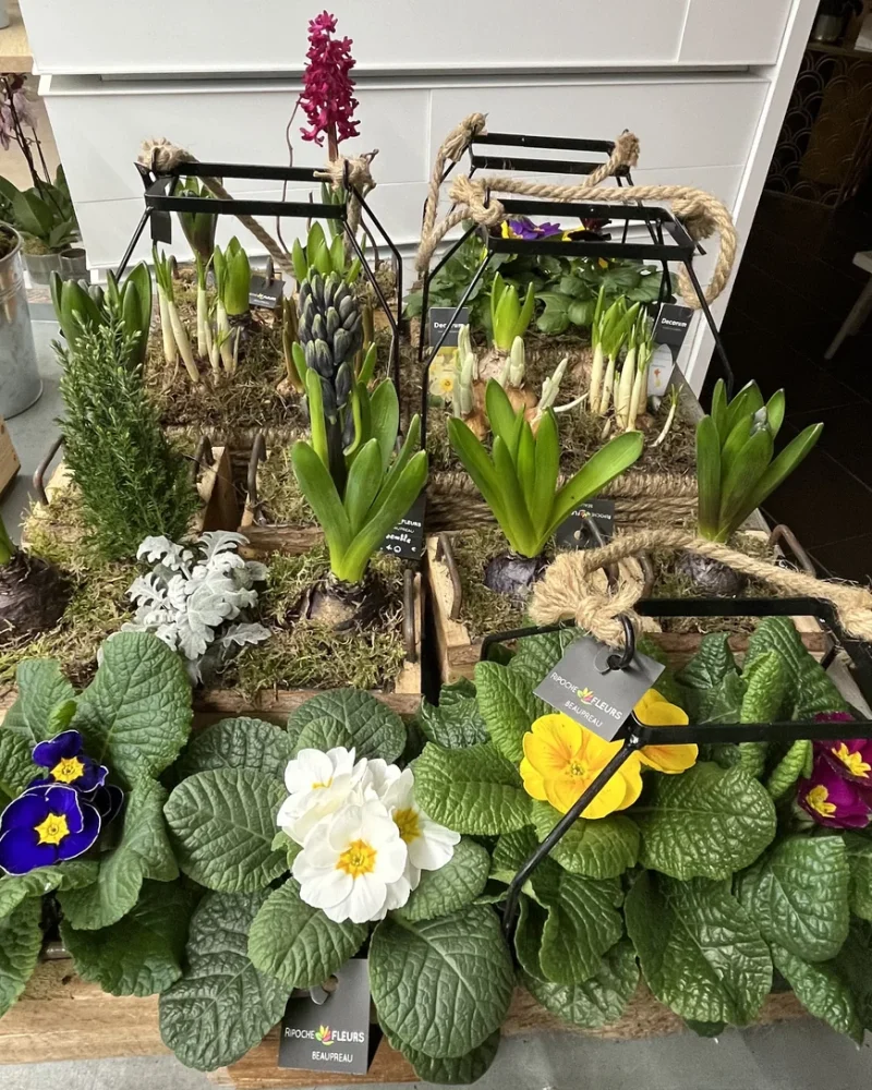 Réalisations, Ripoche Fleurs, fleuriste et décorateur floral à Beaupréau-en-Mauges